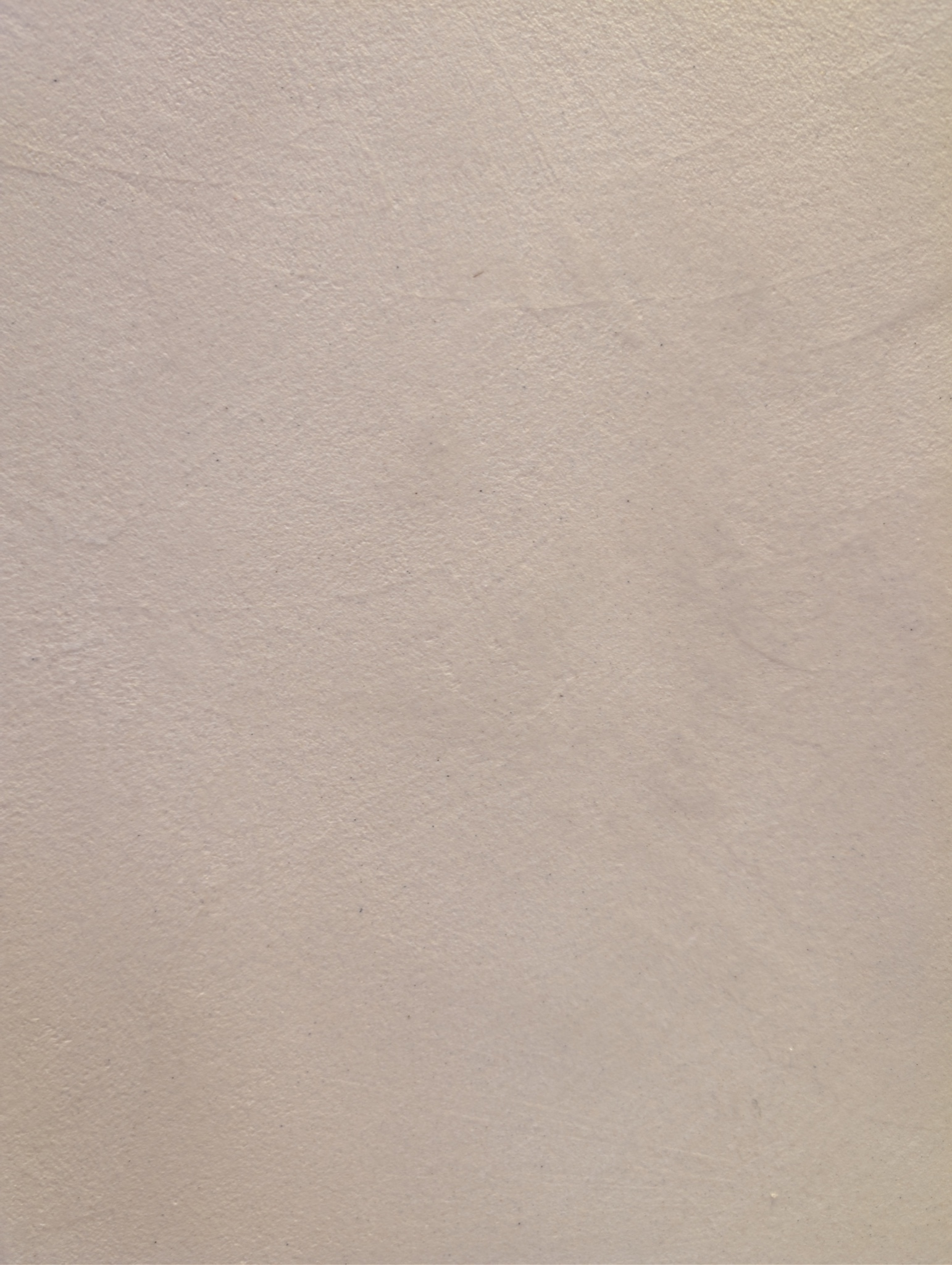 Microcement wandtextuur in close-up - fijne geveegde structuur